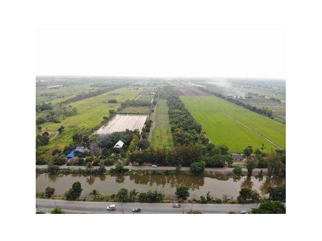 ขายที่ดิน 3 ไร่ คลอง 10 ตรงข้ามการไฟฟ้าส่วนภูมิภาค หนองเสือ อ.หนองเสือ จ.ปทุมธานี