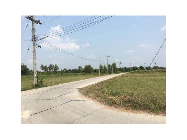 ขายที่ดิน 17 ไร่ ต.หนองขยาด อ.พนัสนิคม จ.ชลบุรี
