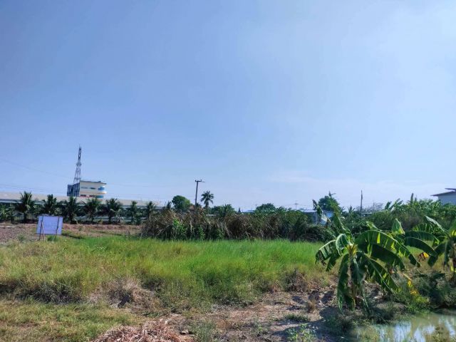 ขายด่วนที่ดิน 158 ตรว เหมาะสร้างบ้านสวน บางระกำ บางเลน นครปฐม
