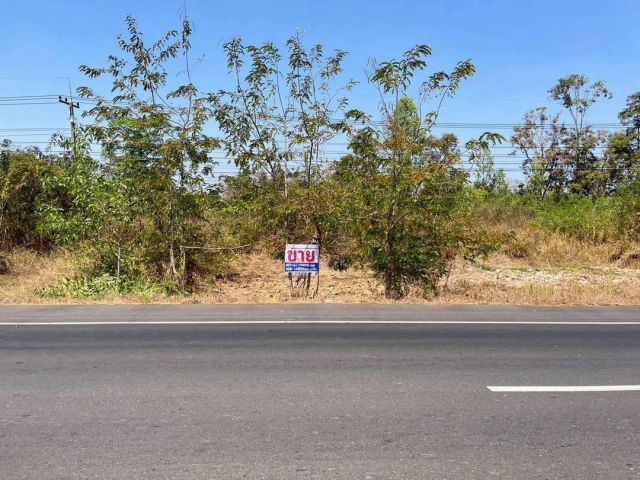 ที่ดินติดถนน 4 เลน ต.นากระแซง อ.เดชอุดม-อุบล