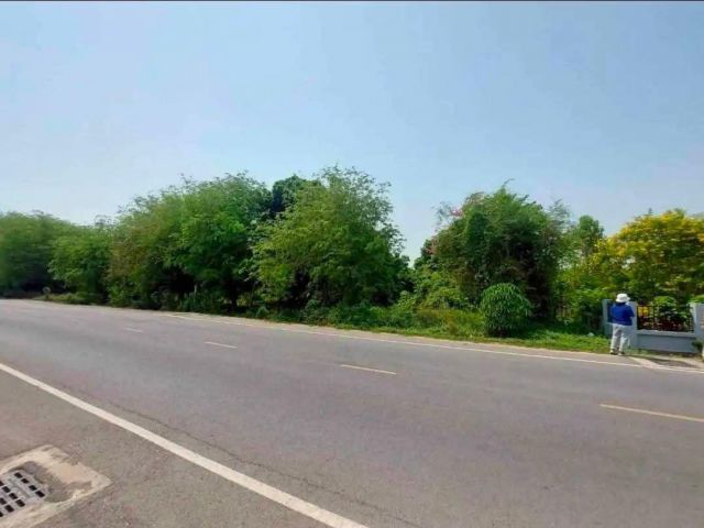 ขายที่ดินผังสีเหลืองสันทรายห่างถนนหลักเพียง 100 เมตร