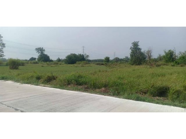 L951 ขายที่ดิน 2 ไร่ บ้านบึง ชลบุรี