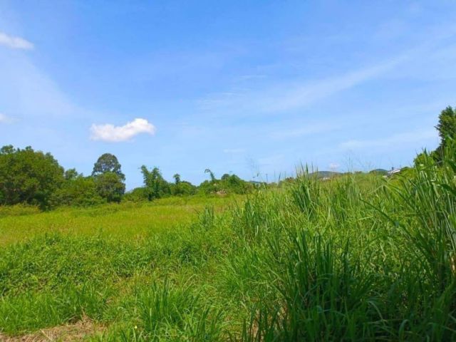 L959 ขายที่ดิน 7 ไร่ ศรีราชา ชลบุรี
