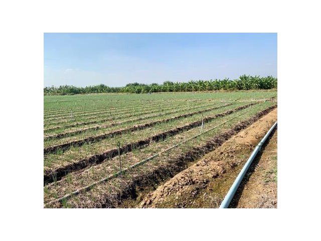 ที่ดินผืนใหญ่ทำเลดี10ไร่ โฉนดครุฑแดงพร้อมโอน ใกล้เทศบาลวังศาลา ท่าม่วง เข้าออกได้หลายทาง ติดถนนสาธารณะ ใกล้ทางด่วนM81 วิวสวย บรรยากาศดี