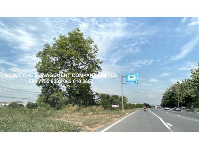 ขายไร่ละ 1,250,000 บาท ที่ดิน 10 ไร่ ติดถนนสายเอเชีย พรหมบุรี สิงห์บุรี 081 336 9775