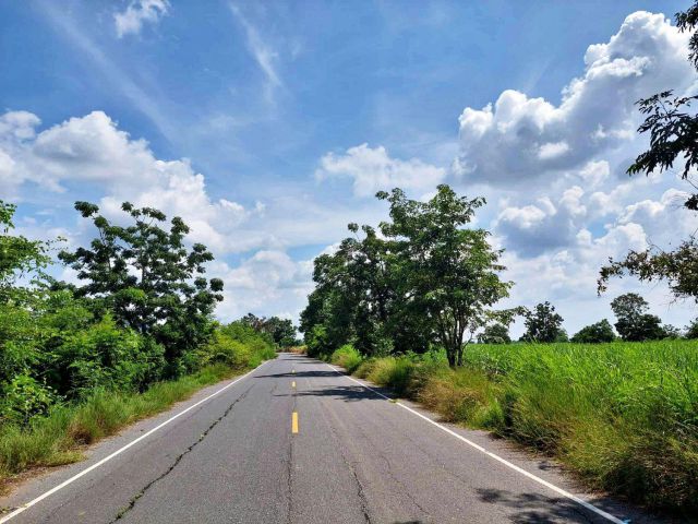 ขายที่(โฉนด)16ไร่ ติดถนนลาดยาง ต.หนองยายโต๊ะ อ.ชัยบาดาล จ.ลพบุรี