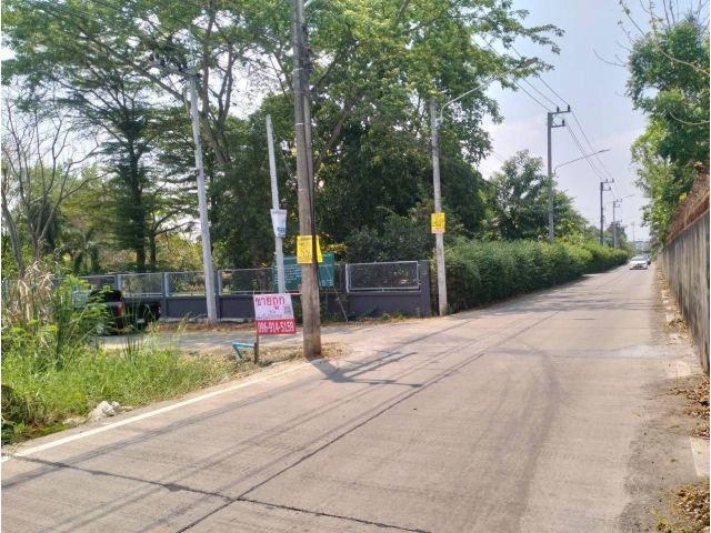 ขายที่ดิน2-0-41ไร่คลองหกตะวันออก28 เยื้องมหาวิทยาลัยราชมงคลธัญบุรีคลองหก