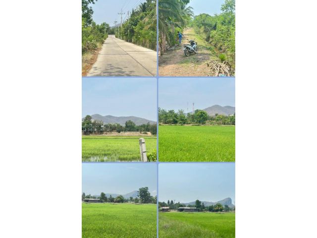ที่นาวิวเขาสวยๆ