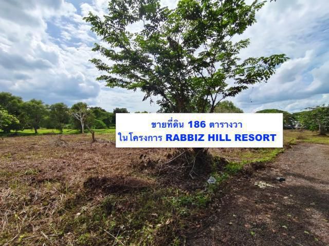 ขายที่ดินเปล่า ต.เขาวงกต อ.แก่งหางแมว ในแรบบิซ ฮิลล์ รีสอร์ท (Rabbiz hill resort) 186 ตารางวา FAS2508118