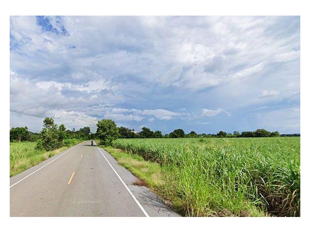 ขายที่ดิน37ไร่(นส.3ก.)ติดถนนลาดยางด้านหลังติดคลองน้ำ ต.วังเพลิง อ.โคกสำโรง จ.ลพบุรี