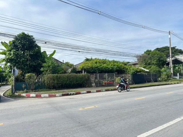 ขายที่ดินตำบลสันกำแพงติดถนนแปลงมุมพร้อมโอน