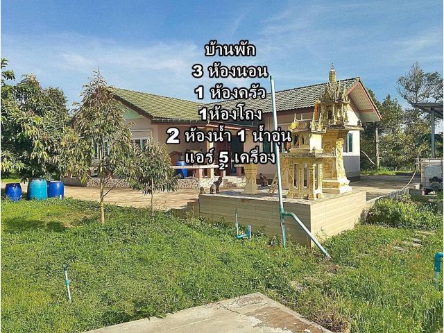 ขายสวนทุเรียนป่าละอู (สวนมงคลสุข) อ.หัวหิน จ.ประจวบฯ 8 ไร่ 2 งาน 89 ตรว. และที่ส่วนเกินริมคลองมีน้ำตลอดปี