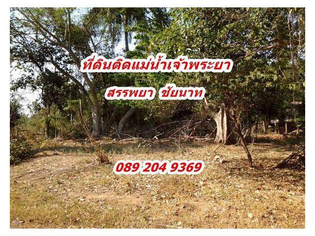 ขายที่ดิน ติดแม่น้ำ ราคาถูก ต.บางหลวง อ.สรรพยา จ.ชัยนาท พื้นที่ 1-3-74.8 ไร่ 0892049369คุณนก