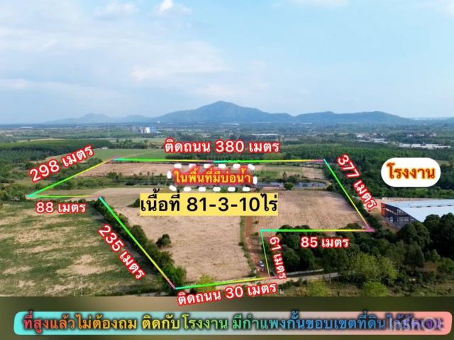 ทีดินแปลงใหญ่บ่อทอง 81-3-10ไร่ ไร่ละ 1.3ล้าน ต.บ่อกวางทอง อ.บ่อทอง จ.ชลบุรี ที่ดินติดถนน2ด้าน เหมาะสร้างโรงงาน