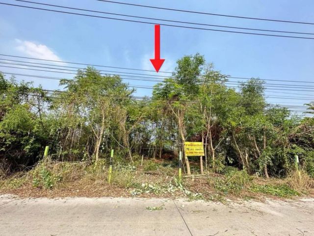 ขายด่วนนน ที่ดินถมแล้ว75 ตรว. ซอยบงกช 43 คลอง2