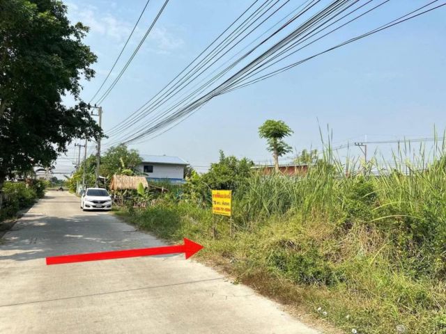 ลดด่วนนนขายที่ดิน 75 ตรว.ซอย บงกช 43