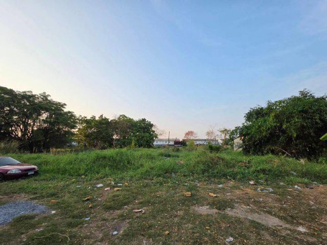 ขาย ที่ดิน ซอยวัดเกาะ ซอยพหลโยธิน 54/1 แยก 6-5 เพิ่มสิน ห่างจากวัดเกาะ 300 ม.  เขตสายไหม กทม.