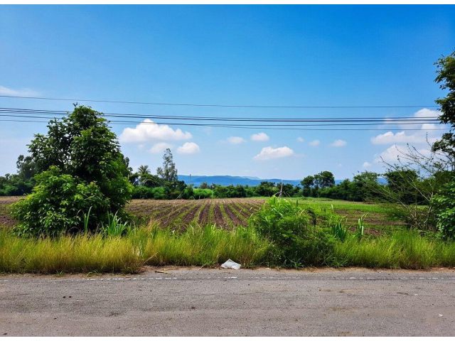 ขายที่ดิน7ไร่(นส.3ก.)ติดถนนลาดยาง,ติดคลองน้ำ ต.วังเพลิง อ.โคกสำโรง จ.ลพบุรี