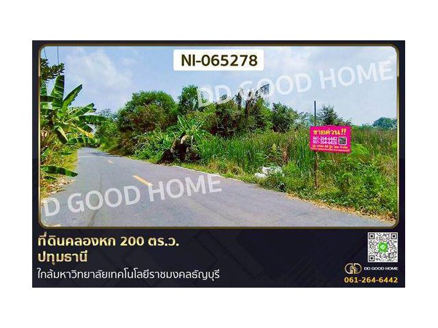 NI-065278 ที่ดินคลองหก 200 ตร.ว. ปทุมธานี ใกล้มหาวิทยาลัยเทคโนโลยีราชมงคลธัญบุรี