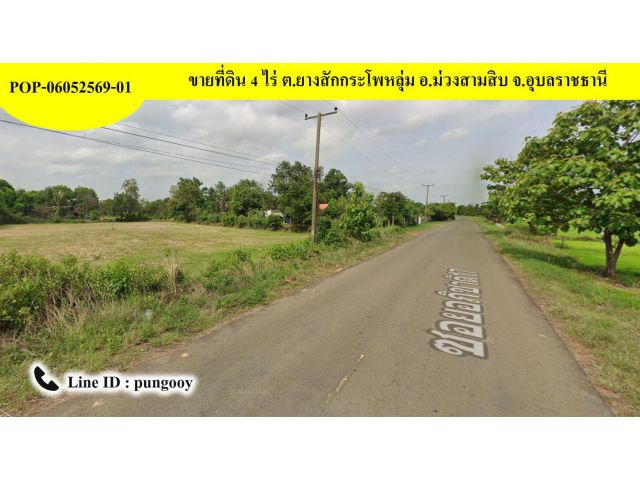 POP-06052569-01 ที่ดิน 4 ไร่ ต.ยางสักกระโพหลุ่ม อ.ม่วงสามสิบ จ.อุบลราชธานี