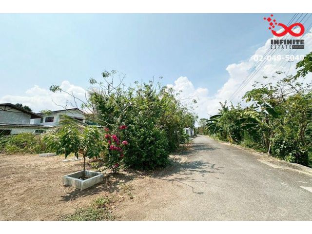 ขายที่ดิน 65 ตร.ว. พุทธมณฑลสาย 2 ทำเลดี แปลงสวย ใกล้ถนนใหญ่