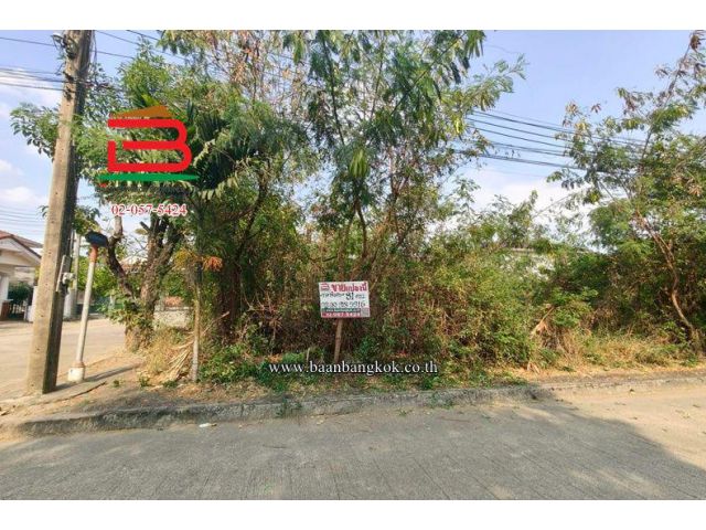 ที่ดินเปล่า หมู่บ้านปาริชาต 345 (โซน B ซอย 15) เนื้อที่ 81 ตร.ว ตำบลบางคูวัด อำเภอเมืองปทุมธานี ปทุมธานี