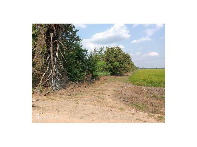 ขายที่ดิน คลอง8 บึงบอน หนองเสือ ปทุมธานี เนื้อที่ 70 ตร.ว ราคาไม่แพง