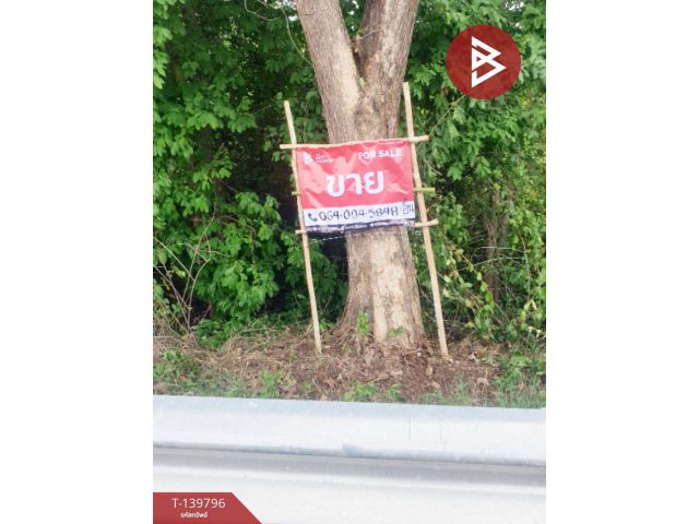 ขายที่ดิน เนื้อที่ 10 ไร่ 1 งาน 57 ตร.วา คำเตย นครพนม