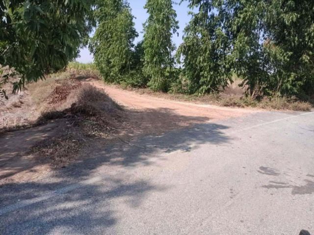 ขายที่ดิน 42 ไร่ ใกล้วัดตลุกเทื้อม ต.หนองแซง อ.หันคา จ.ชัยนาท