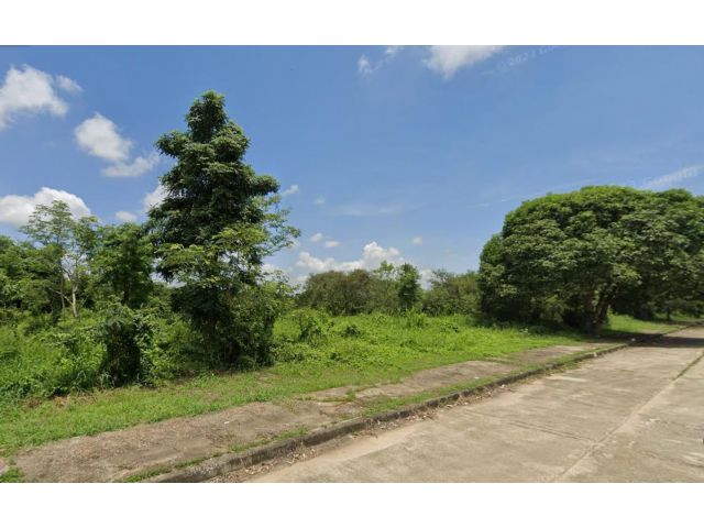 ขายที่ดิน 33 ไร่ ใกล้มหาวิทยาลัยนเรศวร ต.ท่าโพธิ์ อ.เมือง จ.พิษณุโลก