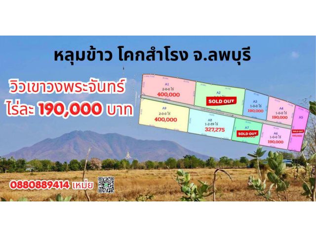 ที่ดิน หลุมข้าว โคกสำโรง จ.ลพบุรี