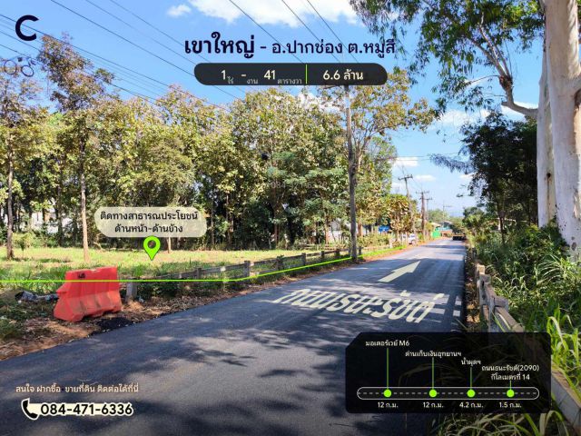 ขายที่ดิน เขาใหญ่ | หมูสี เนื้อที่ 1 ไร่ 41 ตร.วา ใกล้เกาะแกะเขาใหญ่ ราคา 6.6 ล้าน T.084-471-6336