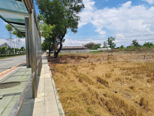ขายที่ดิน 25 ไร่ ถนนมิตรไมตรี แขวงสามวาตะวันออก เขตคลองสามวา กรุงเทพมหานคร