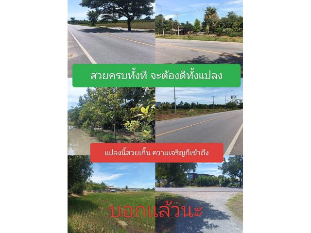 มีข้อเสนอเมื่อเจอเรา ทัวร์อยากลงตรงนี้อยากขายในราคาชาวบ้านและเป็นย่านที่ควรอยู่ นี่งัยแปลงที่เรายังไปถึง ราคาที่น่าคบหา