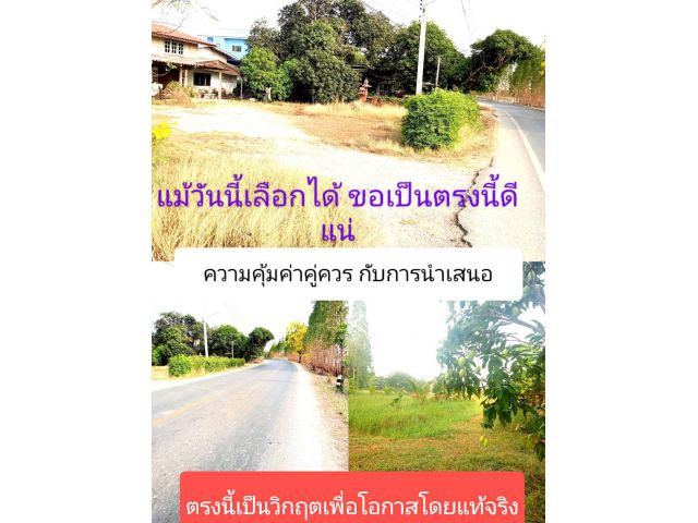 มีสัญญาณที่ดีและมีข้อเสนอที่ดีสำหรับท่านที่สนใจที่ดินติดถนนหลักย่านเจริญ เดินทางสะดวกไม่ไกลหากไปก็เห็นเป็นที่ประจักษ์