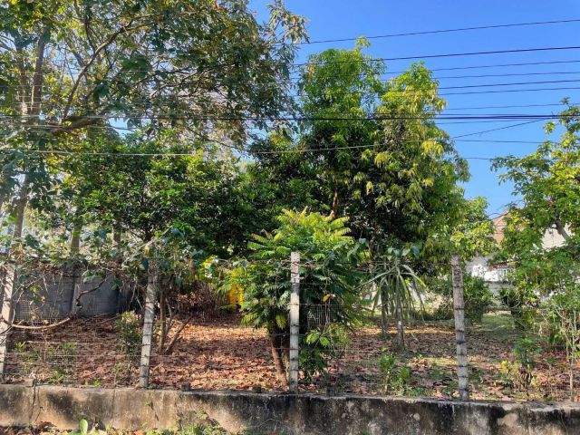 ขายที่ดินตำบลสุเทพบ้านข้างวัดใกล้วัดร่ำเปิงพร้อมโอน