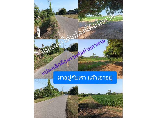 เลือกแปลงที่ถูกมีสิทธิ์ชีวิตเปลี่ยนไปในทางที่คุ้มทุกมุมมองของทำเล เลือกที่ทำกินถิ่นที่อาศัย แปลงเล็กแปลงถูกแล้วถูกใจ