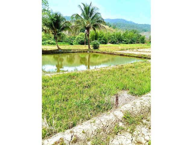 ที่ดินโฉนด10ไร่เศษ ติดลำเมือง เชิงเขาสวย ต.สะเมิงใต้ อ.สะเมิง จ.เชียงใหม่ช