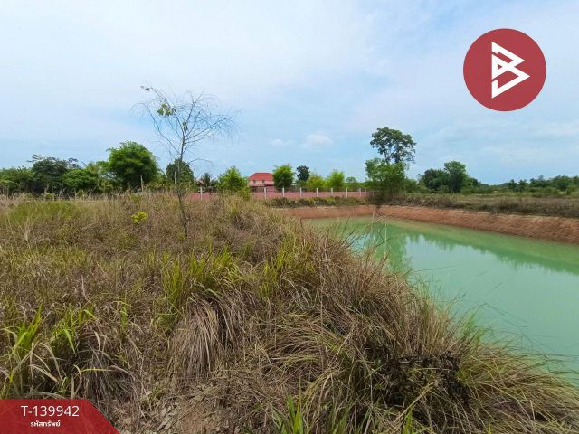 ขายที่ดิน เนื้อที่ 3 ไร่ 1 งาน พรเจริญ บึงกาฬ