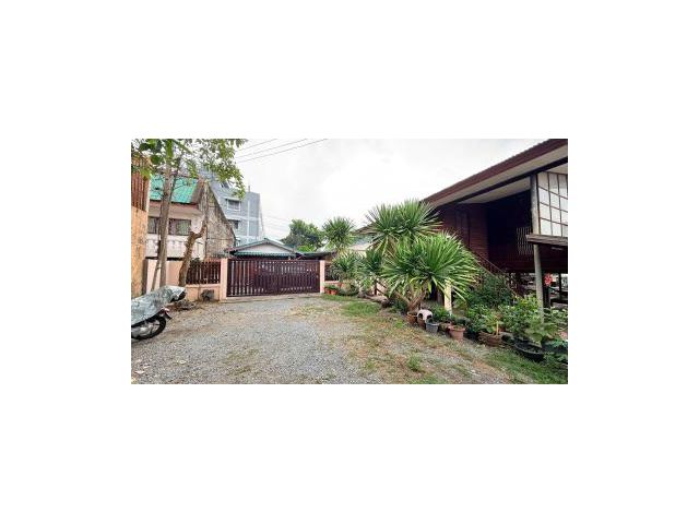 ที่ดินพร้อมบ้าน 145 ตร.ว ซ.เสนานิคม 25 แยก 5 ใกล้ถนนพหลโยธิน รถไฟฟ้าสีเขียว