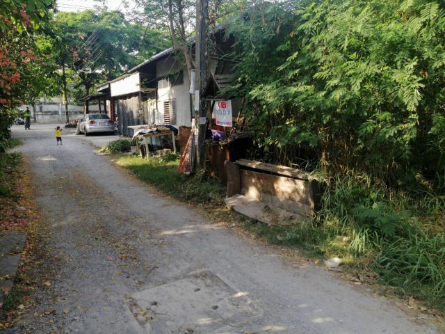 ขายที่ดินหนองแขม ถนนเพชรเกษม69 ที่ดิน 51ตรว. ขายถูก ติดถนน เดินเข้าออกซอย 30เมตร