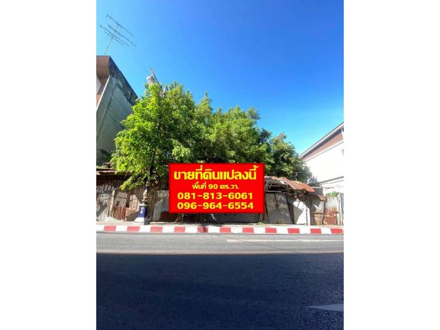 ขายที่ดินเปล่า 90 ตร.วา ใกล้ตลาดเทศบาลเมืองเพชรบุรี