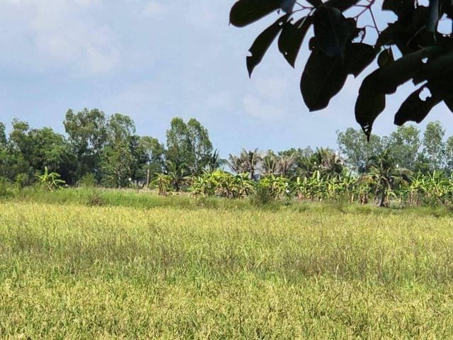 L1053 ขายที่นา 12 ไร่ บ้านนา นครนายก