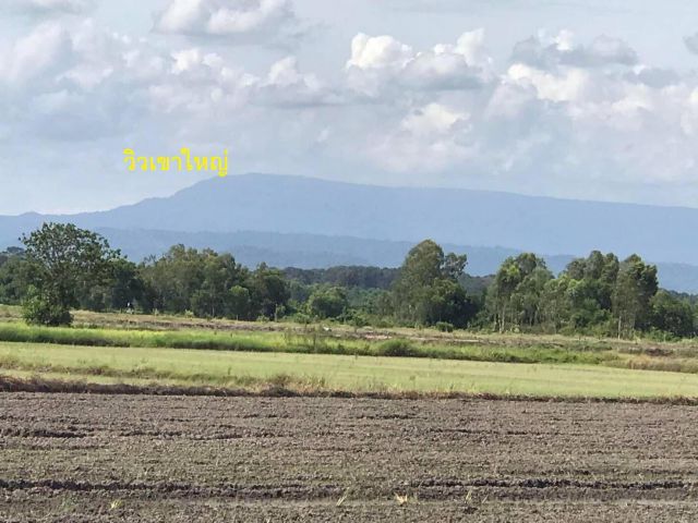 ที่ดินขายด่วน  ๆๆๆ โฉนดครุฑแดง