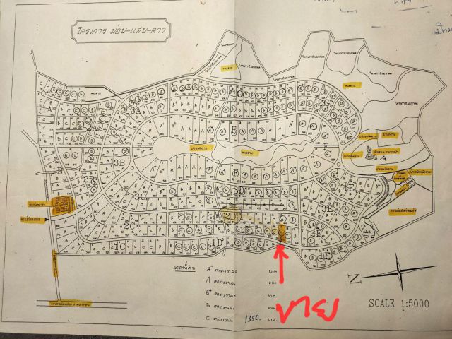 ขายที่ดินโครงการม่อนแสนดาว