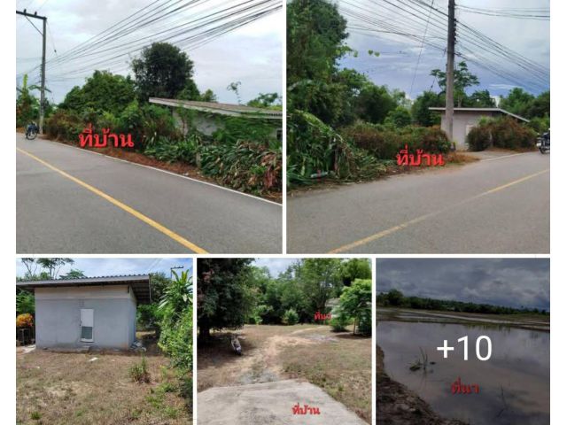 #ขายที่บ้าน320ตร.ว.+ที่นา5ไร่1งาน อยู่บ้านหนองบวกช้าง ต.แม่คะ ติดถนนในหมู่บ้าน อยู่ตรงกันข้ามโรงงานน้ำดื่มออมทอง ขายถูกๆ