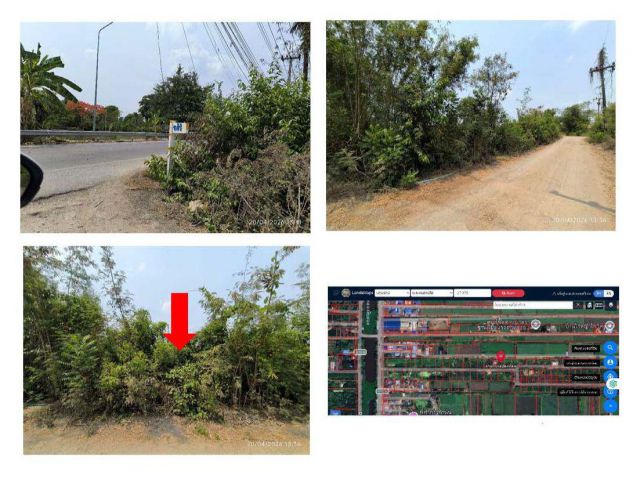 ขายที่ดิน รังสิต-นครนายก คลอง12 หนองเสือ ฝั่งตะวันออก ซอยศิริ ขนาด 150 ตรว. แปลงสวย ราคา 650,000 บาท