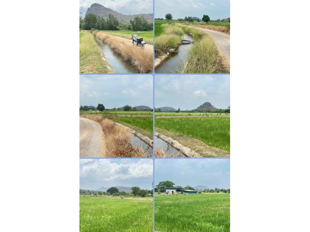 ที่นา วิวเขาสวยๆ