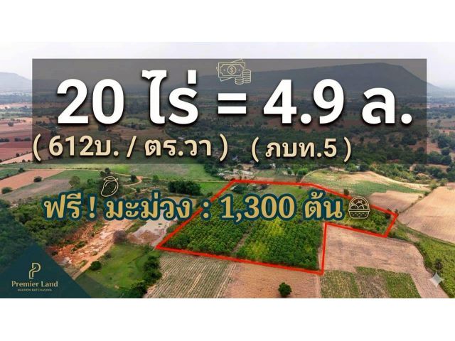 ขายที่ดินทางเลือก (ภบท5) ราคาจับต้องง่าย. ( 612บ./ ตร.วา ) ( 20 ไร่. : 4.9 ล้าน ) | ซื้อขาย เปลี่ยนชื่อได้ : พื้นที่. ปล