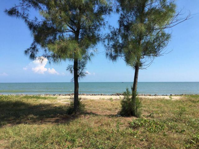 ขายที่ดินติดทะเลปึกเตียน – หาดเพชร ทำเลหายาก หน้าหาดสวยมาก
